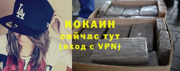 дмт Лабытнанги