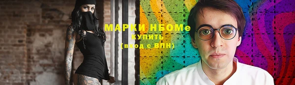дмт Лабытнанги