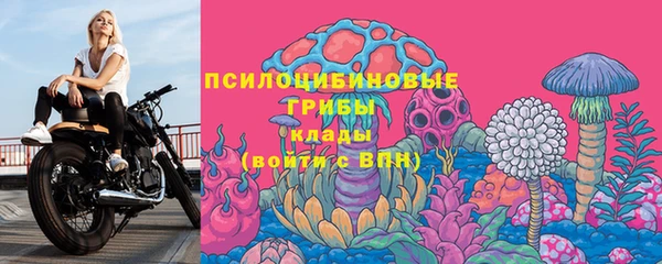 mdma Лагань